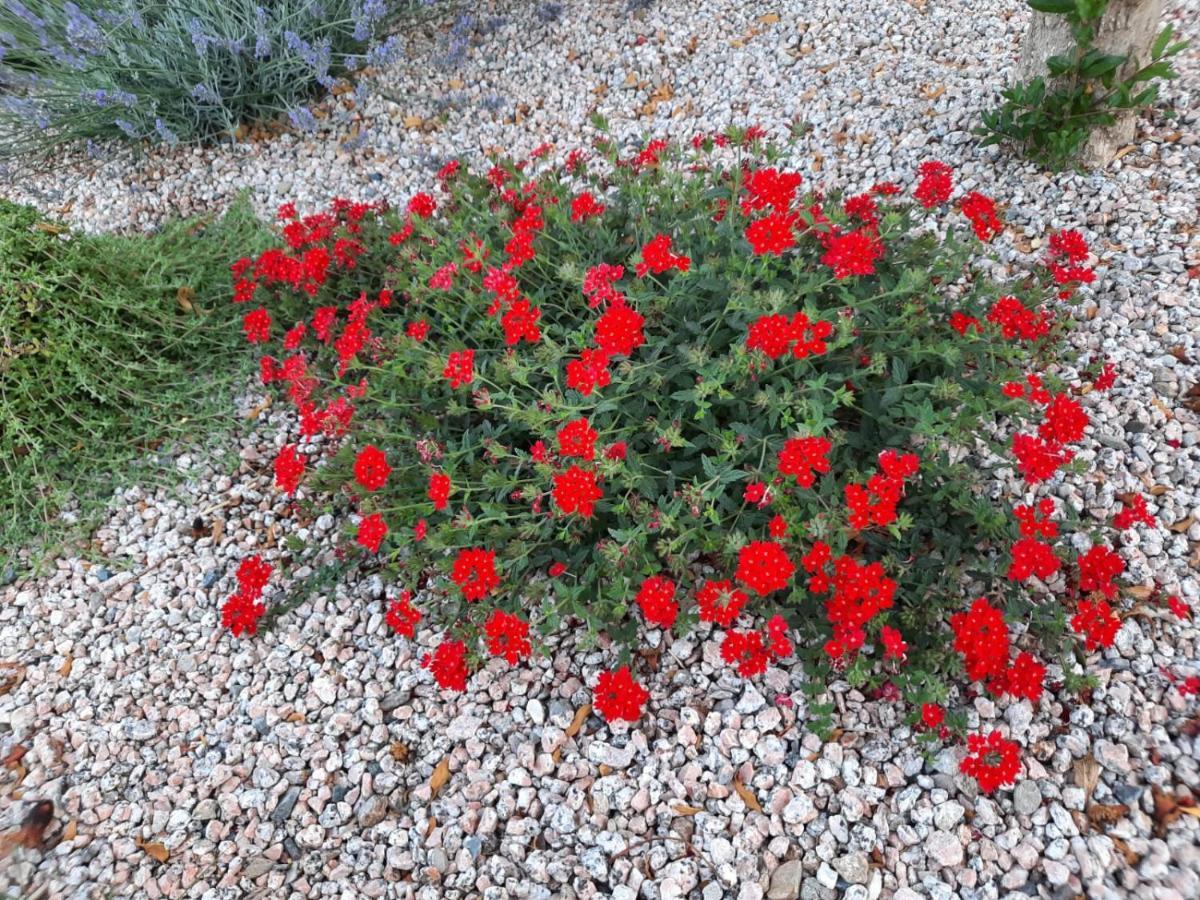 Villa Impetrata Iun Q7090 Orosei Dış mekan fotoğraf